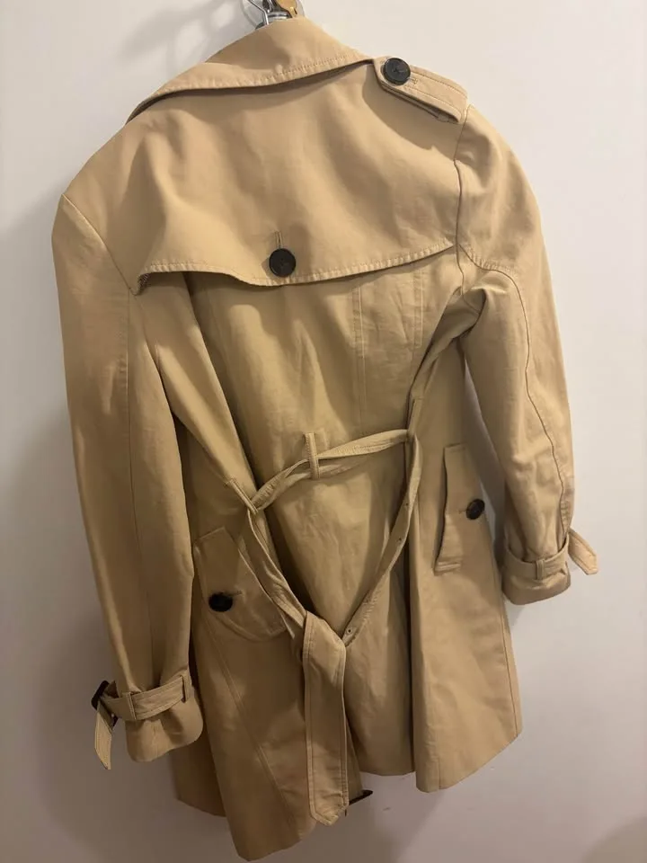 Trench coat image indicator(3)