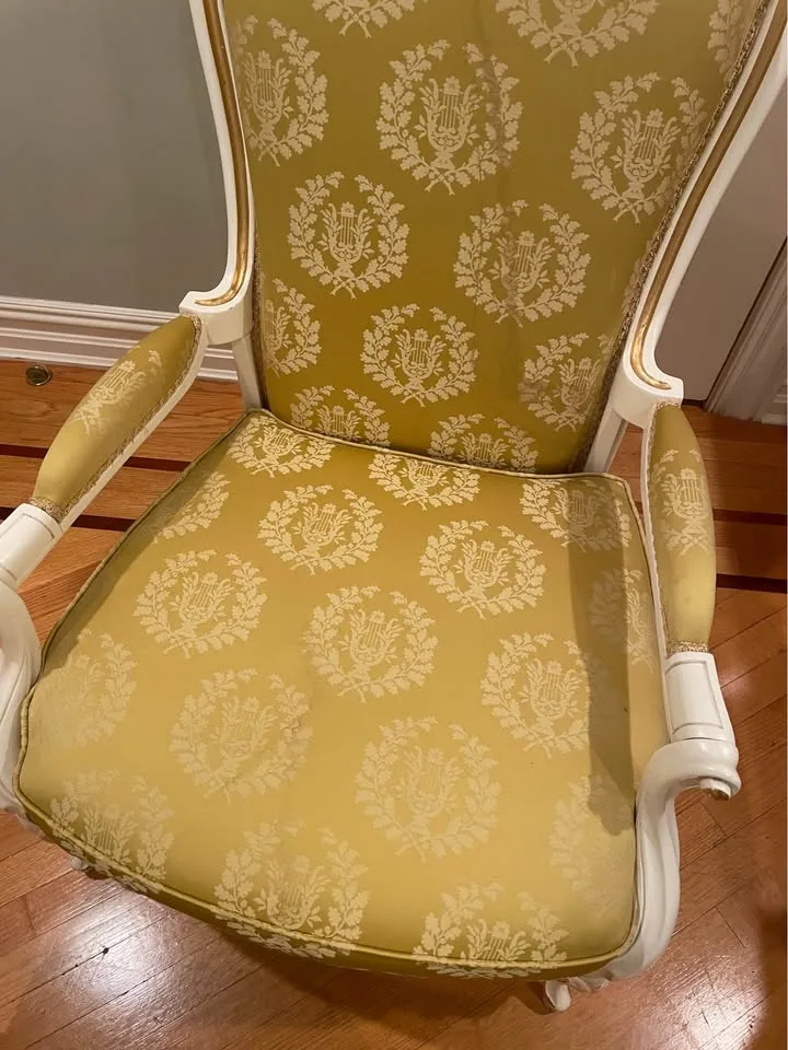 Elegant Accent Chair & Ottoman – Classic French Style Louis XV image indicator(5)