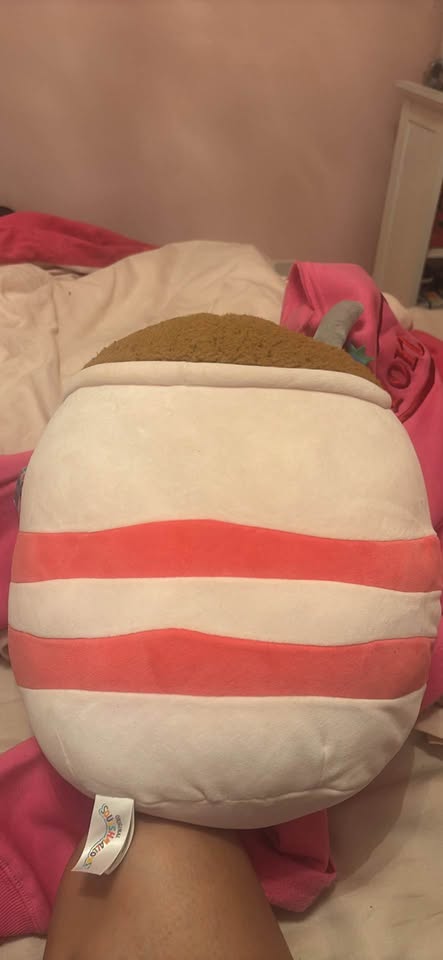 Squishmallow sorbet yogurt - photo 2