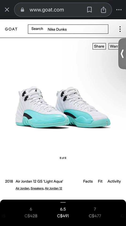 JORDAN 12 LIGHT AQUA