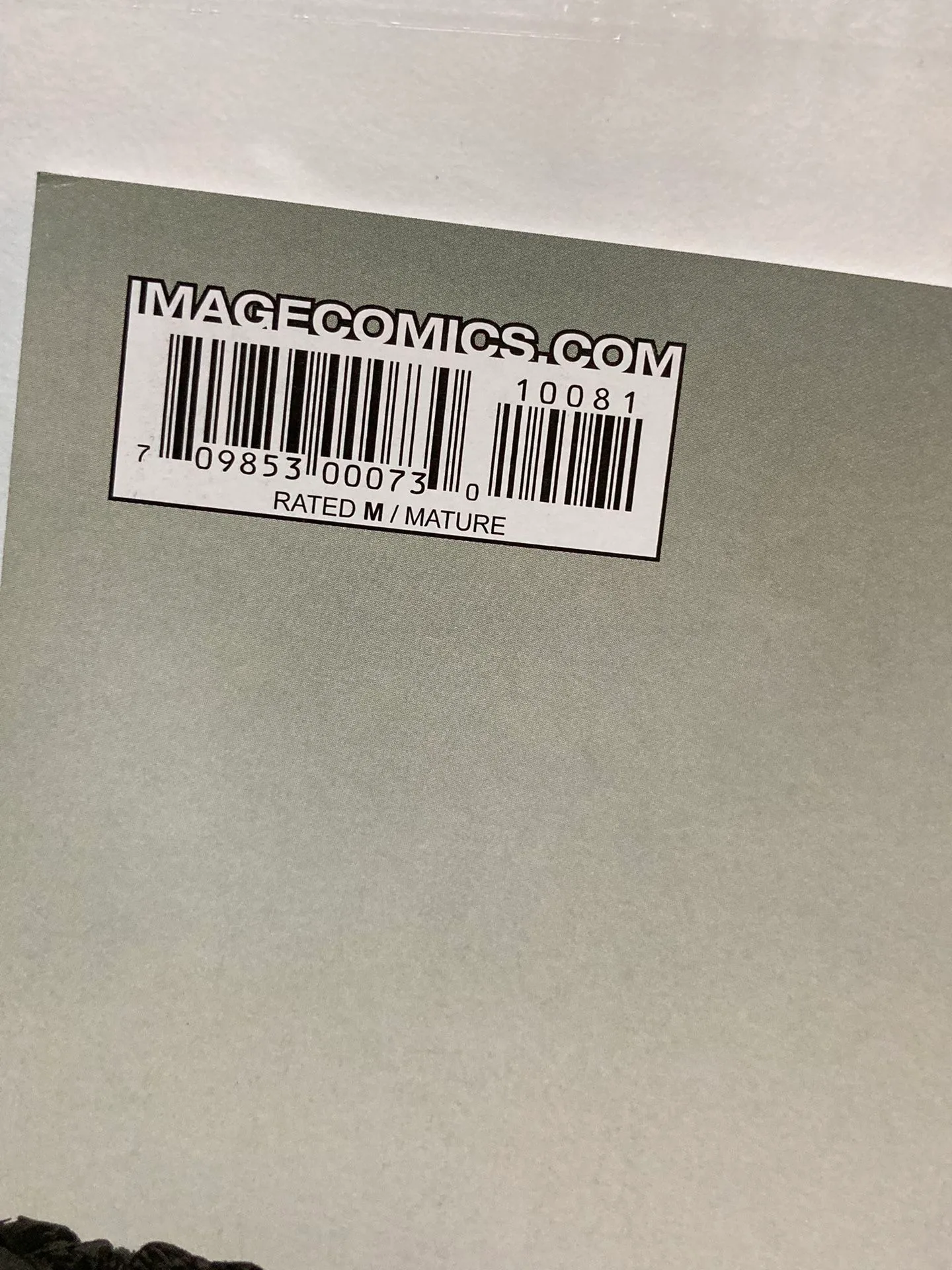 The Walking Dead Issue #100 Variant Anniversary Cover image indicator(3)