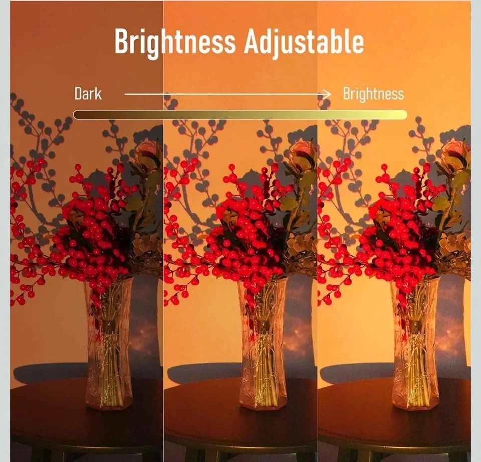 Sunset Lamp Projector image indicator(6)