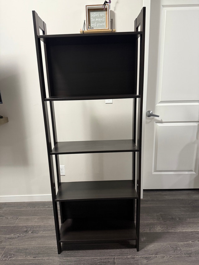 Ladder Shelf