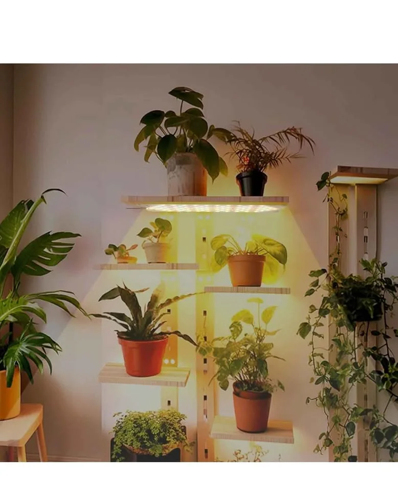 Grow Light image indicator(7)