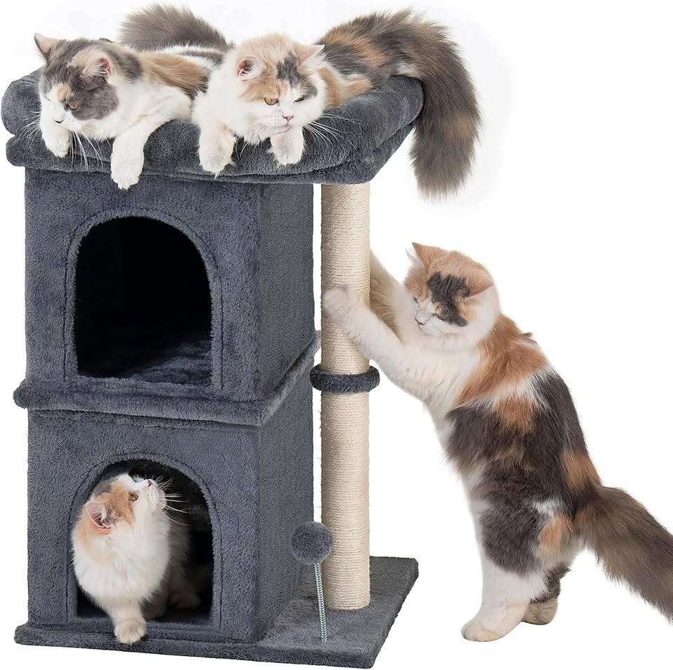 Aechonow Cat Tree for Large Cat, 19 * 16.5In Large Cat