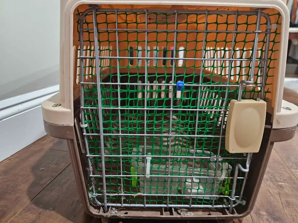 Pet Carrier – Great Condition_ Midwest Pets SKUDO 2 image indicator(2)