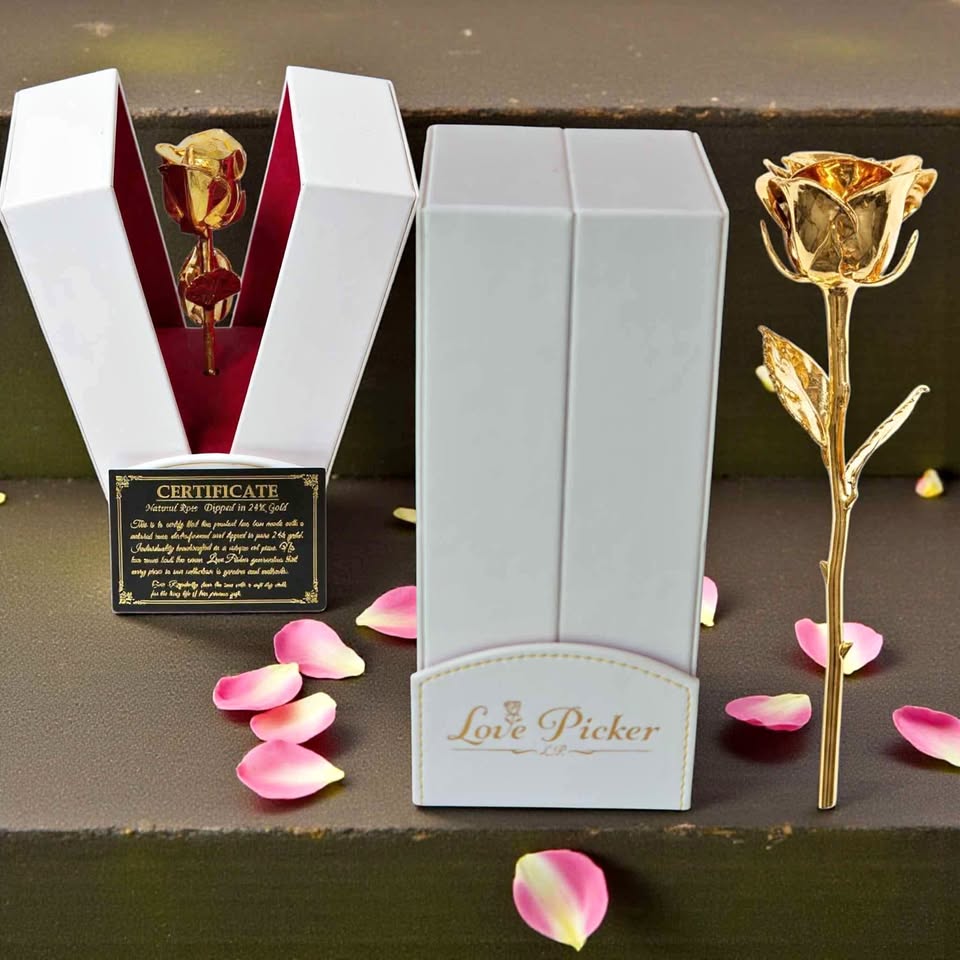 24K Gold Rose