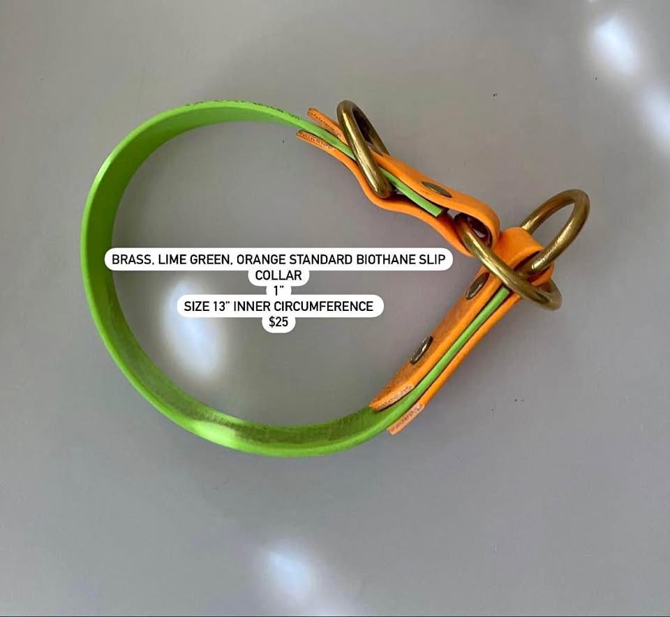 Lime and orange biothane slip collar