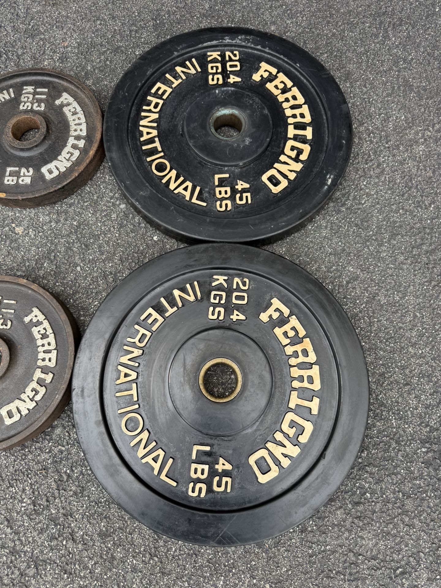 Vintage Ferrigno International Weight Plate Set - photo 2