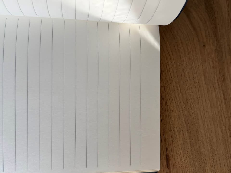 Notebook #146 Montblanc Heritage Egyptomania - photo 3