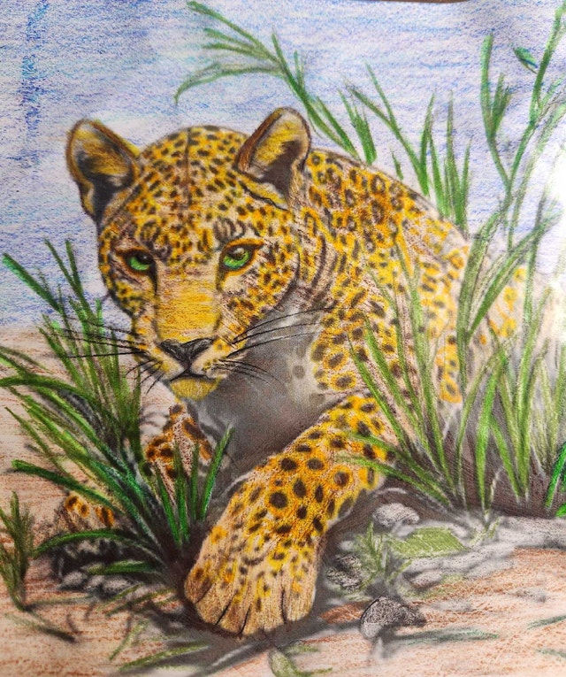Canvas Paintings  #cleanout - photo 3