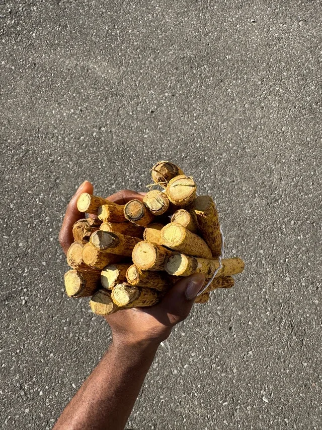 Original African Oral Cleanse image indicator(3)