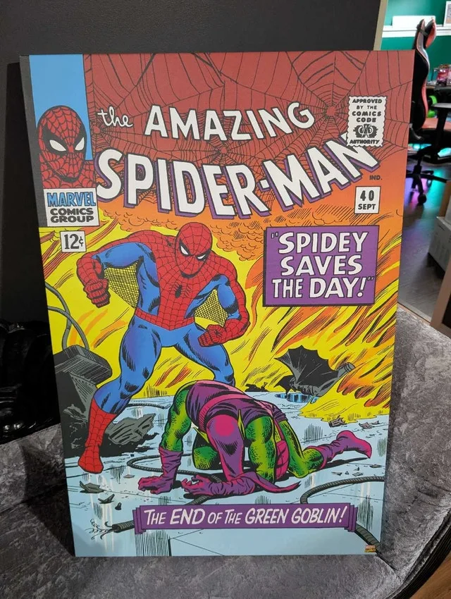 Marvel Amazing Spider-Man Canvas