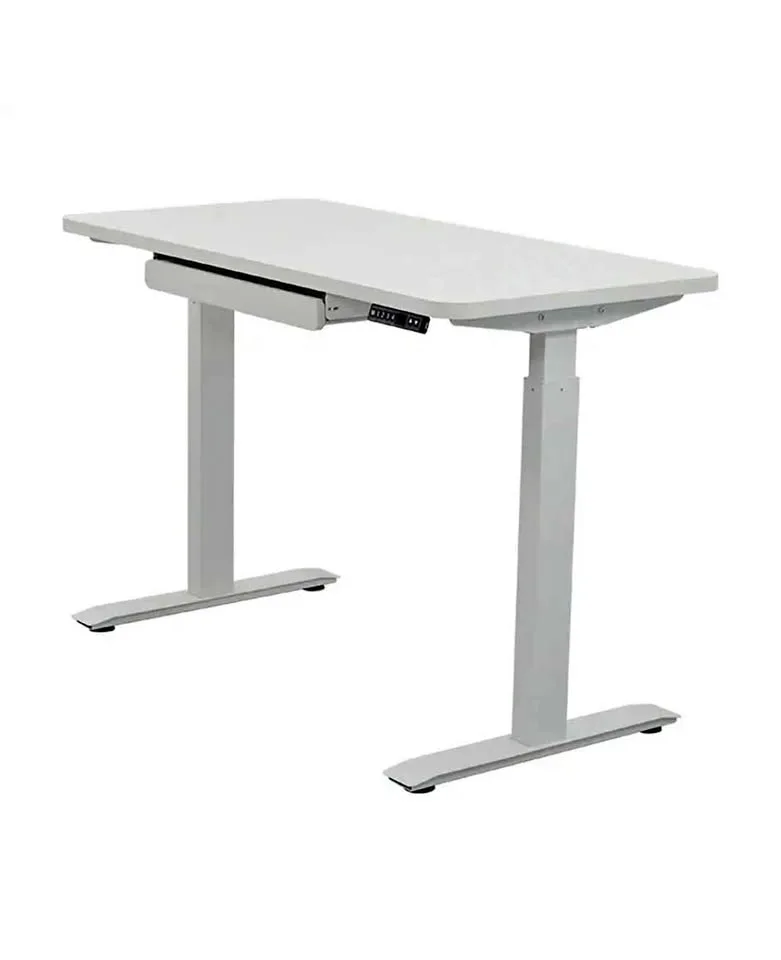 Motionwise 24x48 Electric Standing Desk