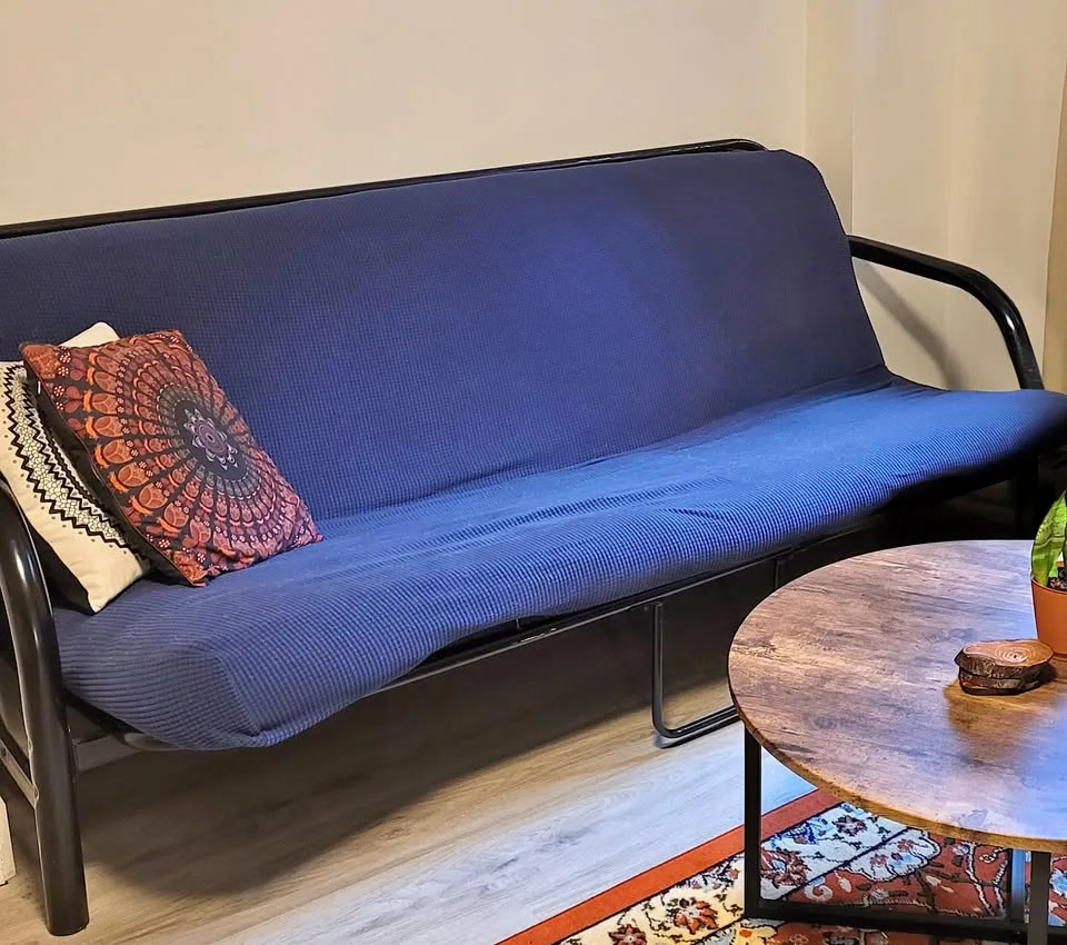 Pull-Out Futon Sofa + FREE Washable Cover