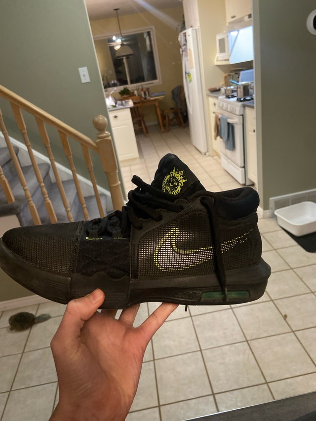 LeBron basketball shoes size 12