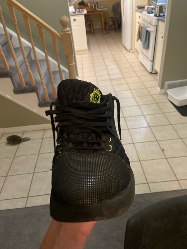 LeBron basketball shoes size 12 - photo 2