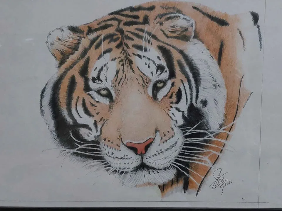 Art supplies, pencil crayons, paper image indicator(6)