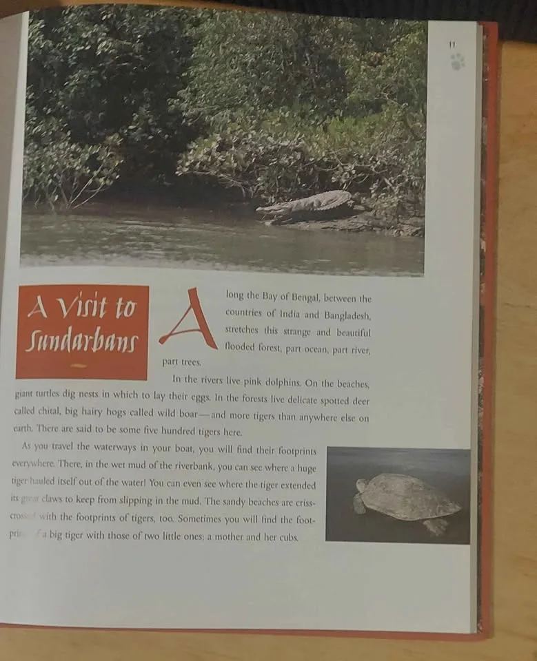 Book about tigers image indicator(3)