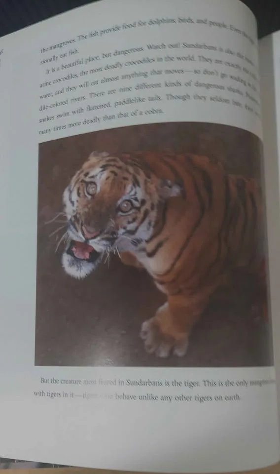 Book about tigers image indicator(4)