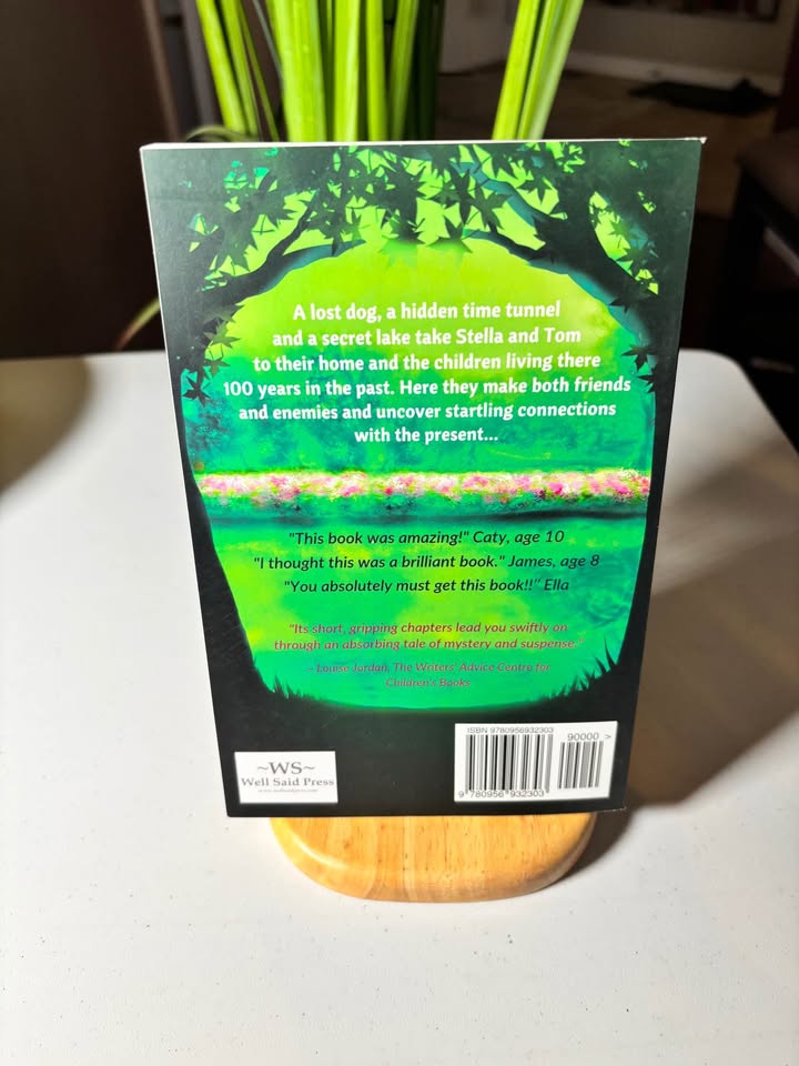 The Secret Lake New Paperback 8-10 years - photo 2
