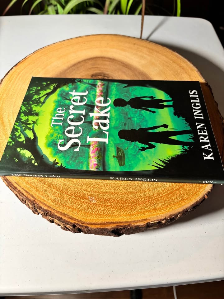 The Secret Lake New Paperback 8-10 years - photo 3