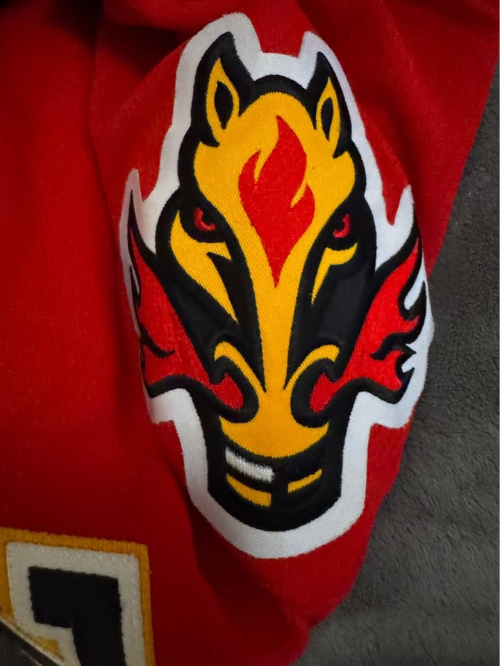 Vintage Calgary Flames CCM Jersey - Dion Phaneuf #3 - photo 4