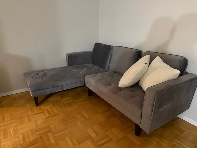 Couch (Todd from Structube). Must sell ASAP thumbnail