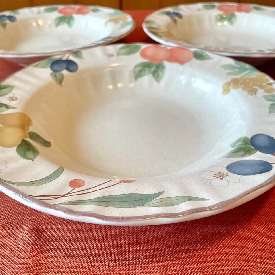 9” Mikasa Country Classics Plates Set of 3 image indicator(3)