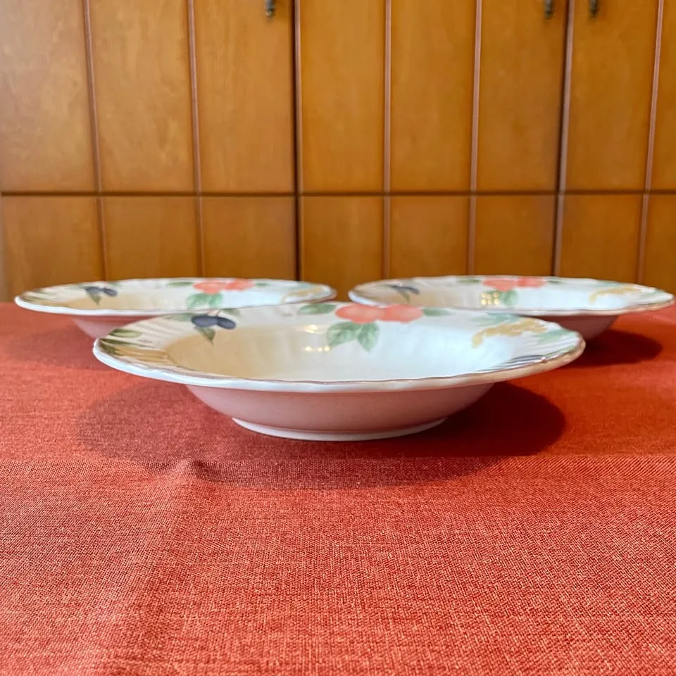 9” Mikasa Country Classics Plates Set of 3 image indicator(5)