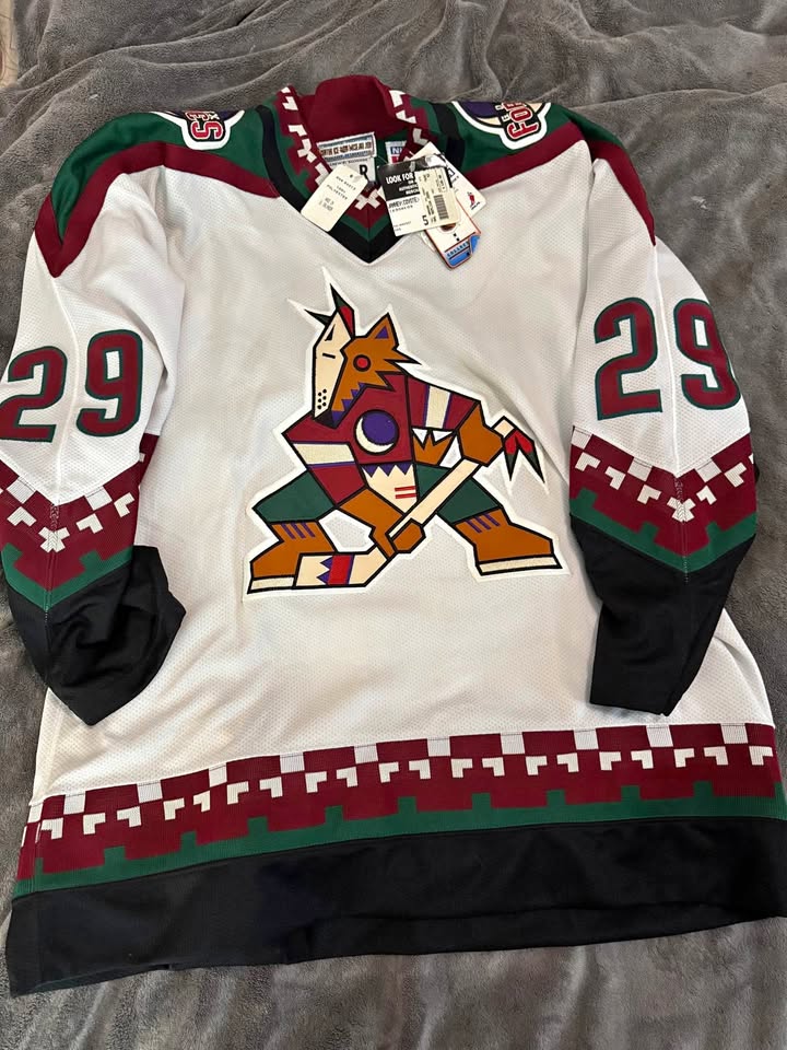 Phoenix Coyotes Starter Kachina Jersey #29 Janney XL