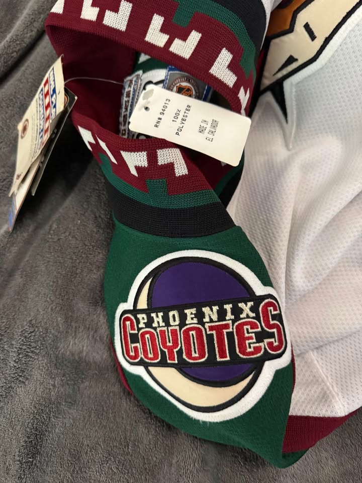 Phoenix Coyotes Starter Kachina Jersey #29 Janney XL - photo 3