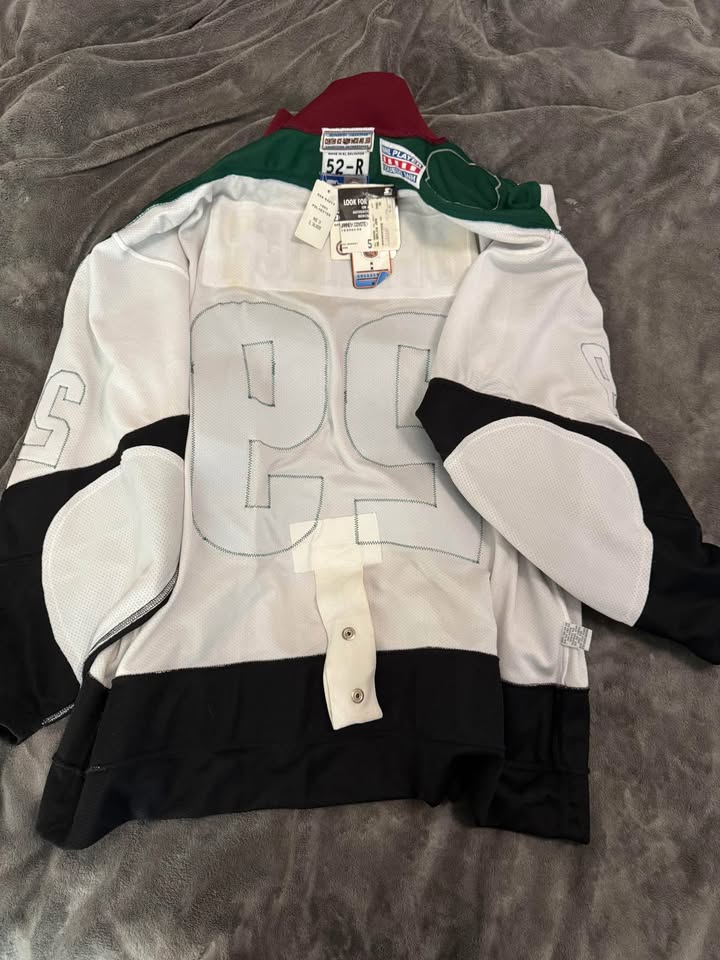 Phoenix Coyotes Starter Kachina Jersey #29 Janney XL - photo 4