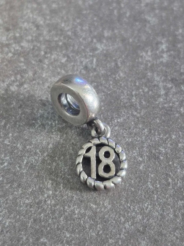 Pandora Silver Bracelet & Charms image indicator(6)