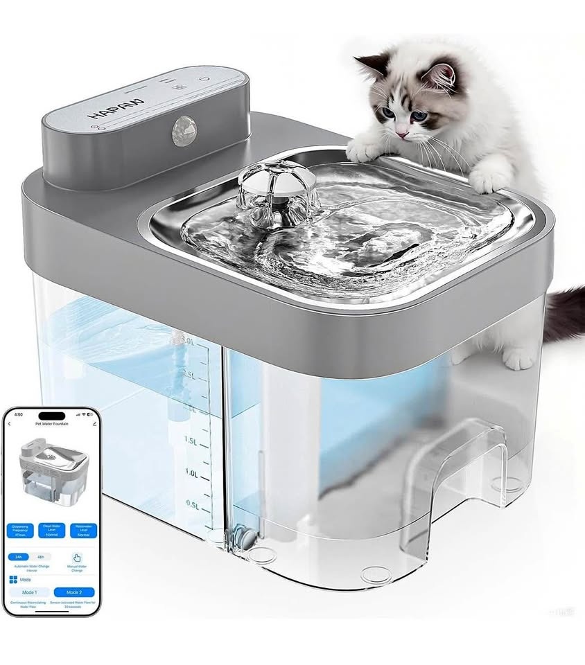 Cat Water Fountain, App Monitoring Wastewater Separation &