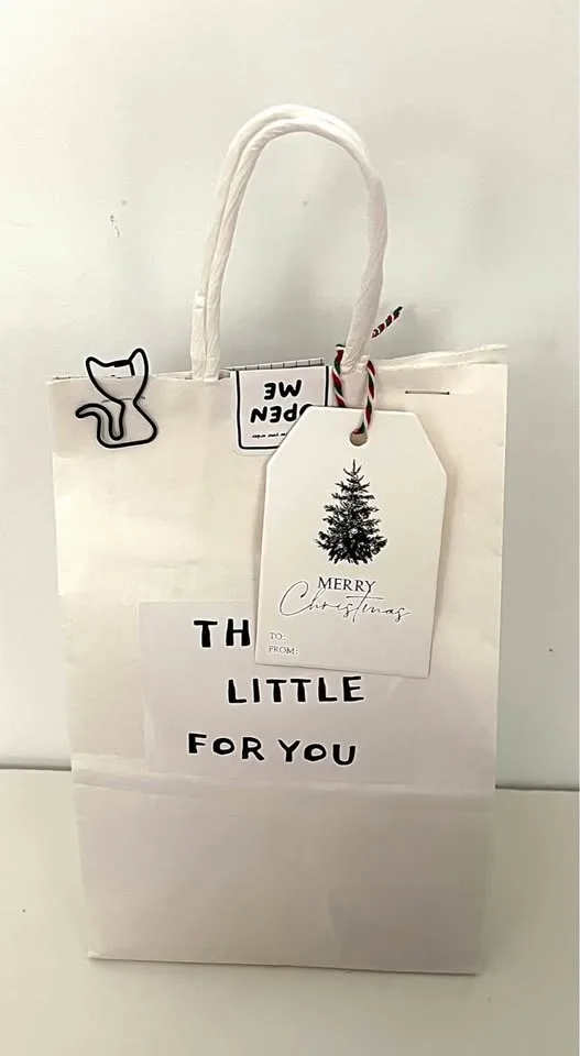 Mystery Bag ✨ - Sticker + Cute Phone Grip + Cable Protector image indicator(7)