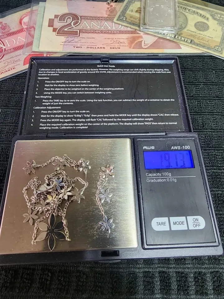 18K Solid White Gold Necklace & Earrings Set image indicator(3)