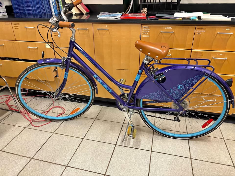Canadian Tire Everyday Bike