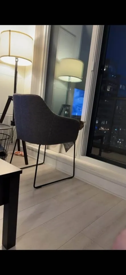 IKEA TOSSBERG Chair – Metal Black / Gunnared MOVE OUT SALE!! image indicator(3)