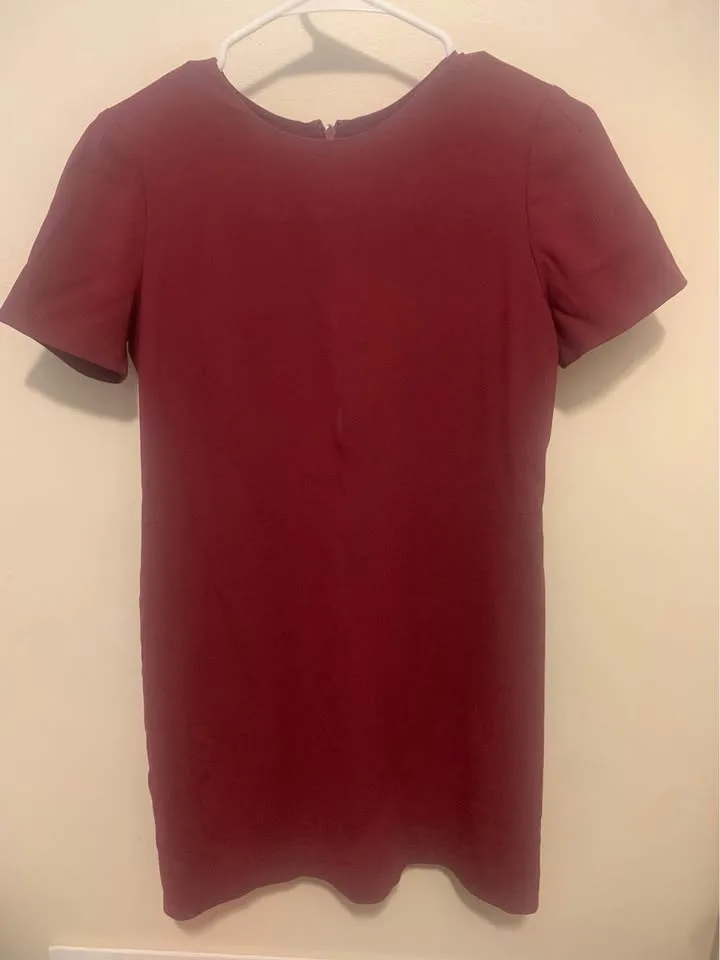 Burgundy Dress image indicator(3)