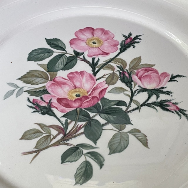 Vintage Harker Pottery Wild Rose plate 22k gold circa - photo 2