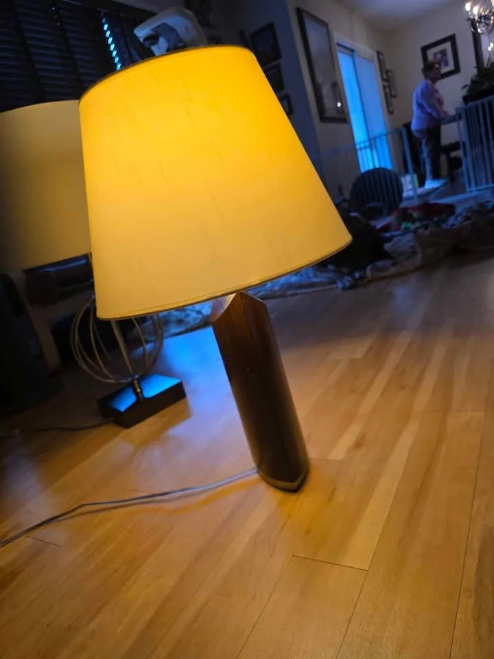 Lamp image indicator(3)