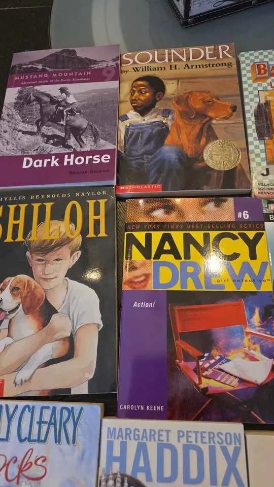 10 books for teens $20 for all image indicator(3)