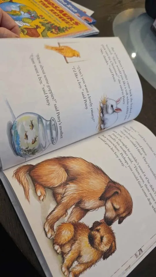 5 Hardcover children's books $15 for all great condition image indicator(7)