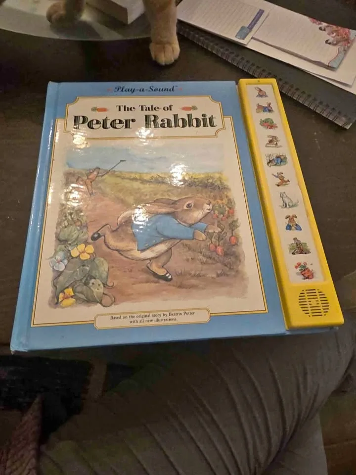 Play a sound book THE TALEA OF PETTER RABBIT thumbnail