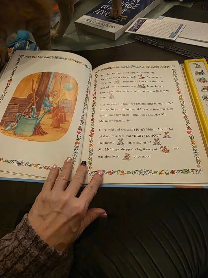 Play a sound book THE TALEA OF PETTER RABBIT image indicator(4)