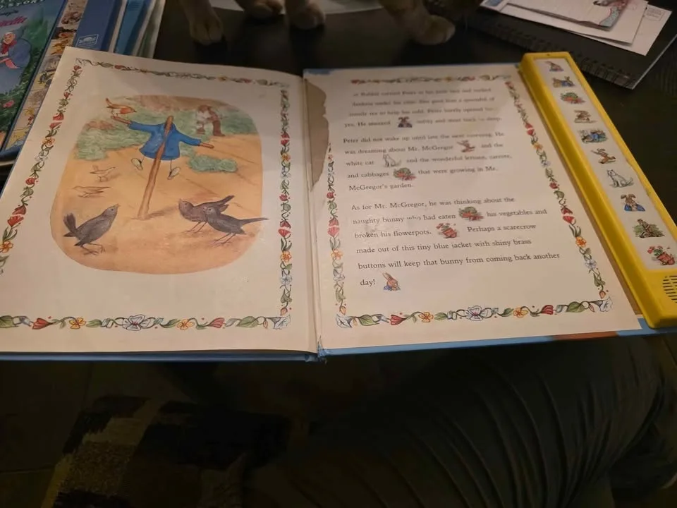 Play a sound book THE TALEA OF PETTER RABBIT image indicator(5)