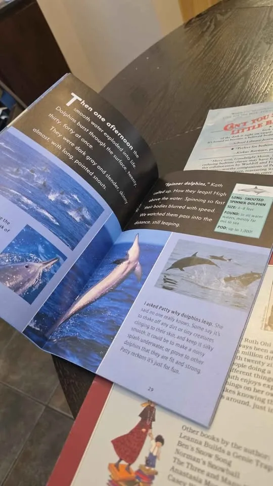 5 Kids books, soft cover, beautifully illustrated, $10 image indicator(6)