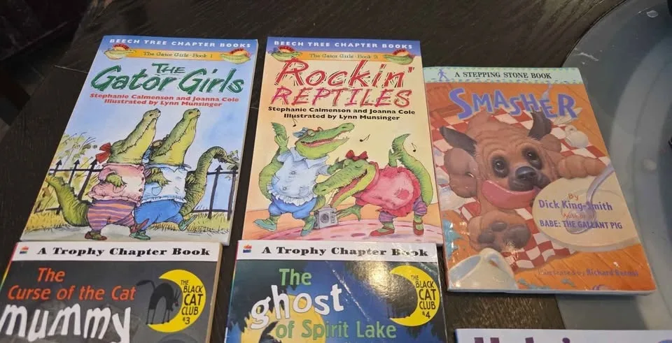 11 Young Readers - Early Chapter Books - $2 Each or $15 image indicator(2)