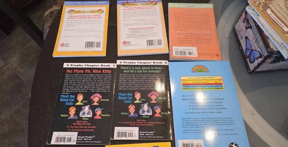 11 Young Readers - Early Chapter Books - $2 Each or $15 image indicator(4)
